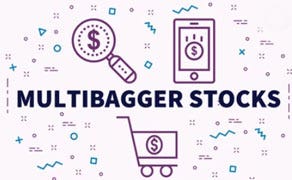 multibagger stocks