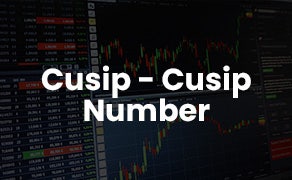 What are CUSIP Numbers