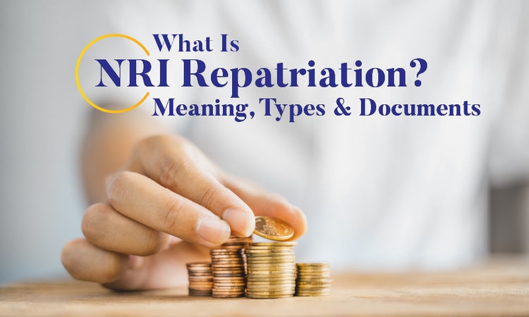 NRI Repatriation