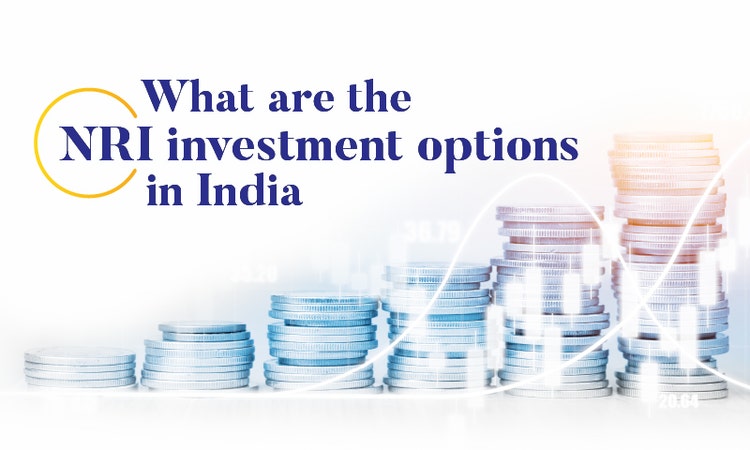 NRI Investment Options