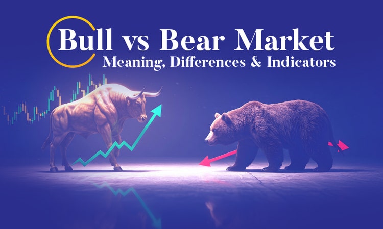 Bull vs Bear Market