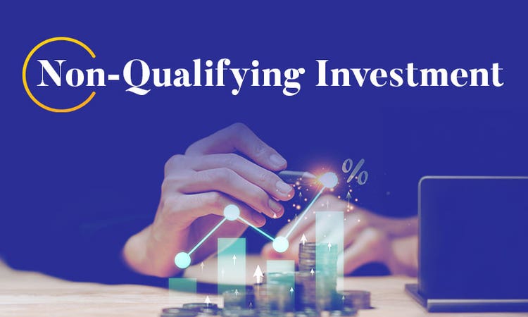Non-Qualifying Investment