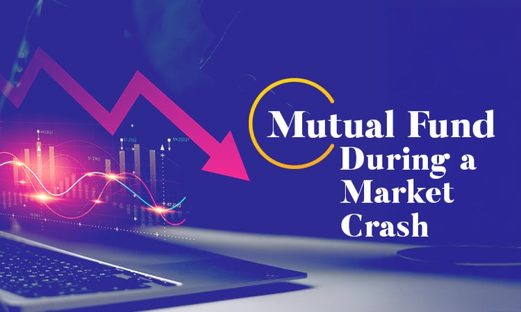 Media 1d49a4da48e4434d01267893d60701fe36d1c0526