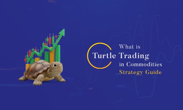 Turtle trading in commodities explained