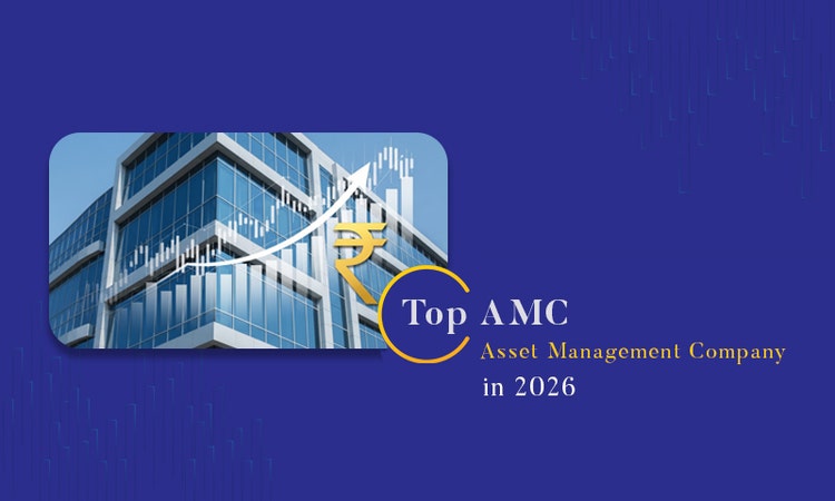 Top AMC Companies